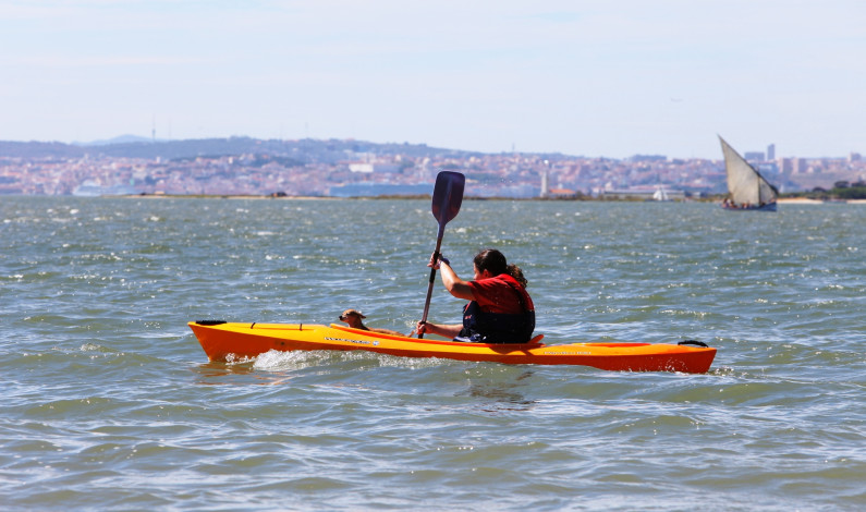 “Agosto Flutuante” na Praia Fluvial do Rosário “Agosto Flutuante” na Praia Fluvial do Rosário