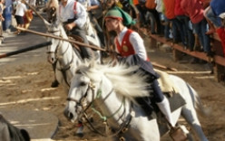 “Imagens da Nossa Festa” para ver no Posto de Turismo da Moita “Imagens da Nossa Festa” para ver no Posto de Turismo da Moita
