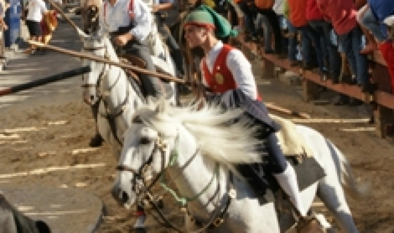 “Imagens da Nossa Festa” para ver no Posto de Turismo da Moita “Imagens da Nossa Festa” para ver no Posto de Turismo da Moita