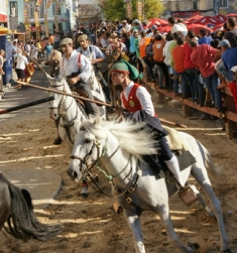 “Imagens da Nossa Festa” para ver no Posto de Turismo da Moita “Imagens da Nossa Festa” para ver no Posto de Turismo da Moita