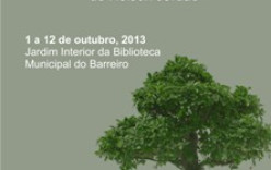 Exposição de Bonsais no Jardim Interior da Biblioteca Municipal Exposição de Bonsais no Jardim Interior da Biblioteca Municipal