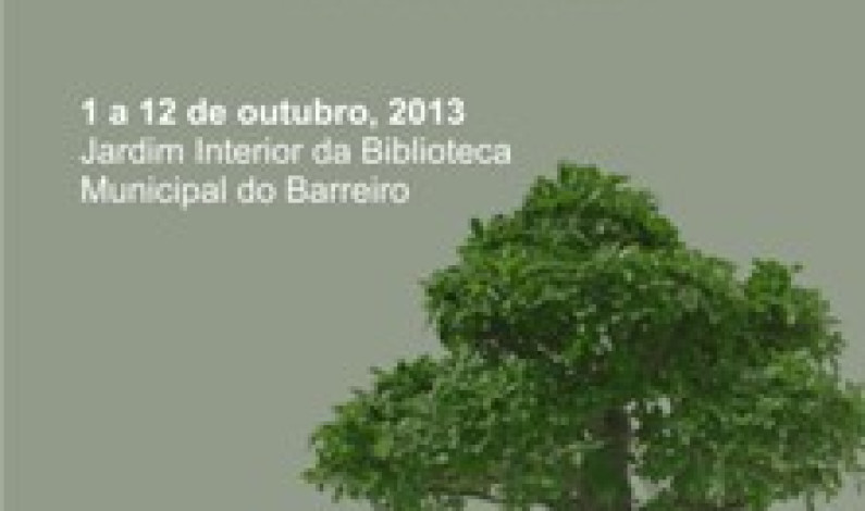 Exposição de Bonsais no Jardim Interior da Biblioteca Municipal Exposição de Bonsais no Jardim Interior da Biblioteca Municipal