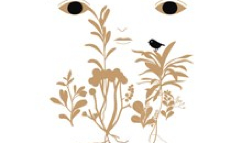 Exposição “Das Raízes” Inauguração a 9 de novembro Exposição “Das Raízes” Inauguração a 9 de novembro