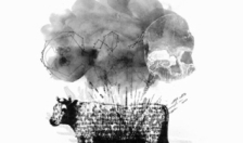 APRESENTAÇÃO DO LIVRO “FLY” APRESENTAÇÃO DO LIVRO “FLY”