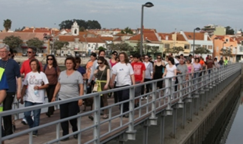 “Caminhada de Aventura Noturna” encerra programa NaturalMoita/2013 “Caminhada de Aventura Noturna” encerra programa NaturalMoita/2013