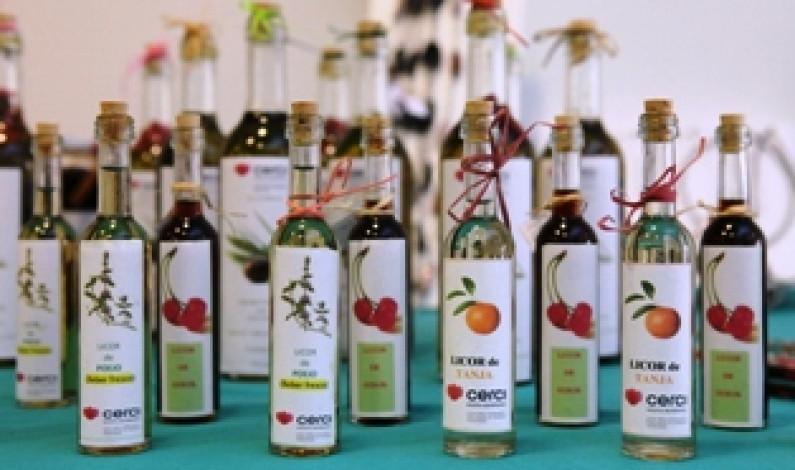 Mostra e Venda de Natal da CERCIMB Mostra e Venda de Natal da CERCIMB