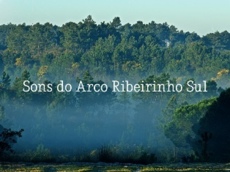 Exposição alusiva ao projecto Sons do Arco Ribeirinho Sul inaugura 11 de janeiro, 16h00 Exposição alusiva ao projecto Sons do Arco Ribeirinho Sul inaugura 11 de janeiro, 16h00