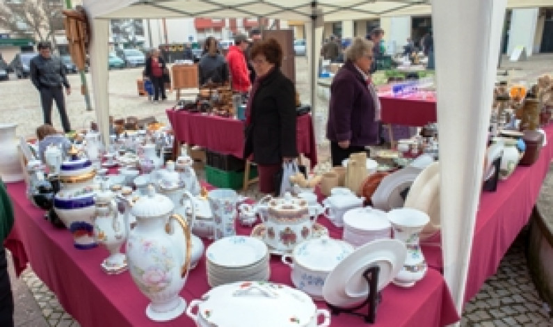 Feira de Antiguidades e Velharias na Moita Feira de Antiguidades e Velharias na Moita