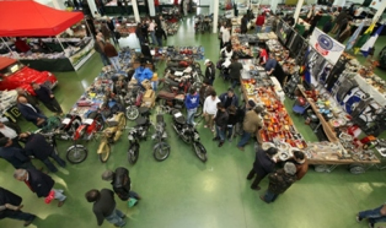 Carros antigos para admirar na XI Automobilia Ibérica da Moita Carros antigos para admirar na XI Automobilia Ibérica da Moita