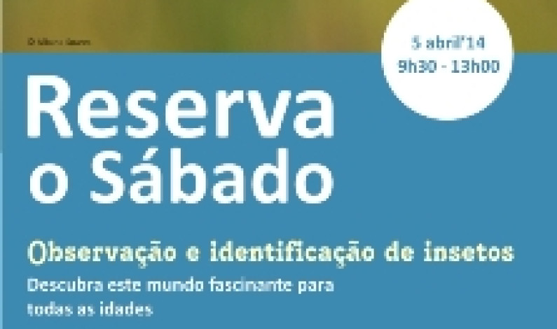 ‘RESERVA O SÁBADO’ Observação e identificação de insetos ‘RESERVA O SÁBADO’ Observação e identificação de insetos