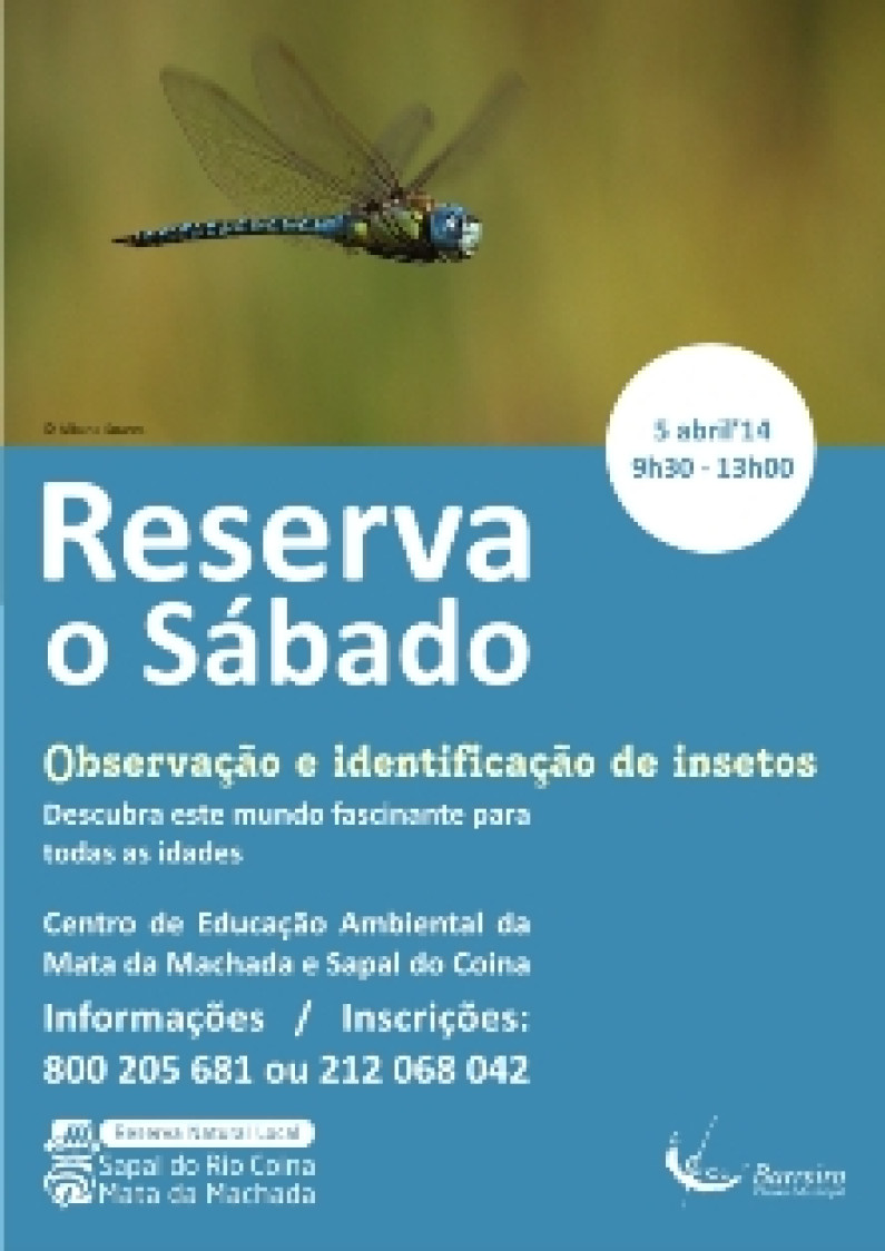 ‘RESERVA O SÁBADO’ Observação e identificação de insetos ‘RESERVA O SÁBADO’ Observação e identificação de insetos