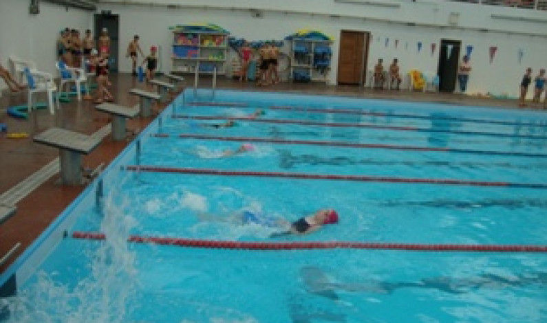 “Meeting 1ª Braçada”, do Circuito de Natação, com uma centena de participantes “Meeting 1ª Braçada”, do Circuito de Natação, com uma centena de participantes