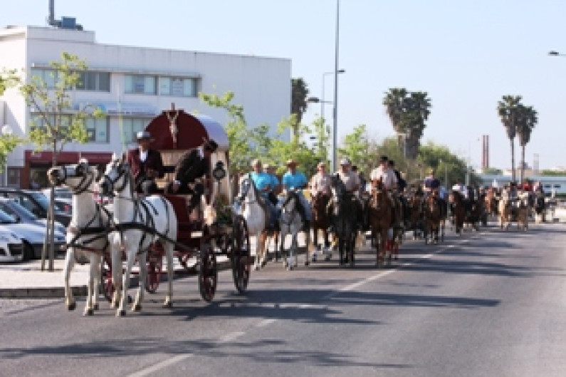 Partida da Romaria a Cavalo Moita – Viana do Alentejo Partida da Romaria a Cavalo Moita – Viana do Alentejo