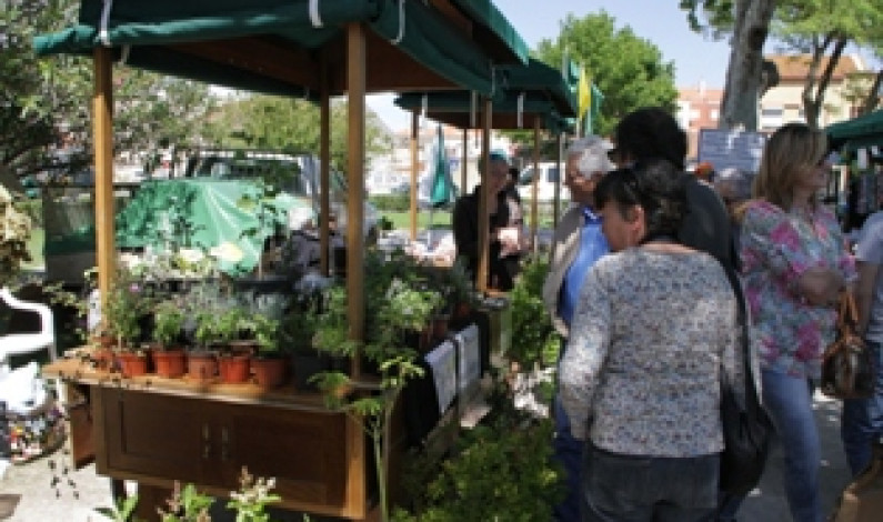 Biofesta: 10 anos a valorizar benefícios da agricultura biológica Biofesta: 10 anos a valorizar benefícios da agricultura biológica