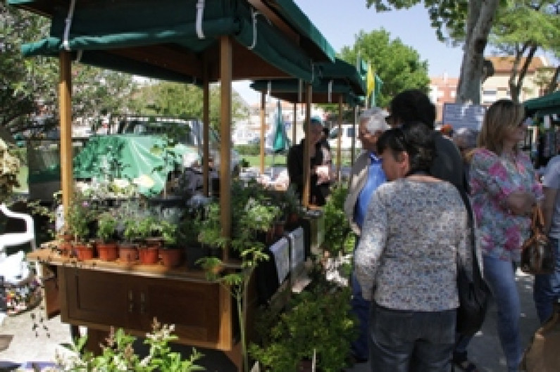 Biofesta: 10 anos a valorizar benefícios da agricultura biológica Biofesta: 10 anos a valorizar benefícios da agricultura biológica