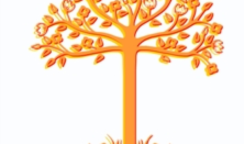 ARRAIAL POPULAR | Bairro Alves Redol ARRAIAL POPULAR | Bairro Alves Redol