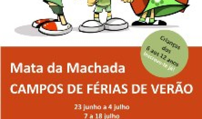 CAMPOS DE FÉRIAS DE VERÃO NO BARREIRO CAMPOS DE FÉRIAS DE VERÃO NO BARREIRO