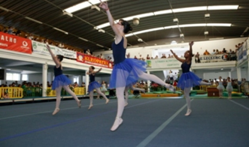 GimnoMoita volta a reunir centenas de atletas na Moita GimnoMoita volta a reunir centenas de atletas na Moita