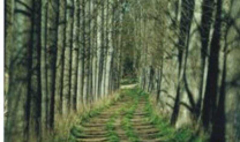 AGENDA DE ATIVIDADES 2014 “RESERVA O VERÃO EM FAMÍLIA” AGENDA DE ATIVIDADES 2014 “RESERVA O VERÃO EM FAMÍLIA”