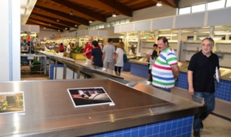 “Visões Sobre o Serviço Público – Recolhas e Limpezas” “Visões Sobre o Serviço Público – Recolhas e Limpezas”