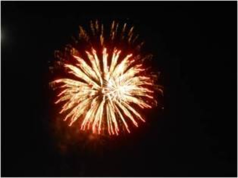 Festas do Barreiro 2014 Festas do Barreiro 2014