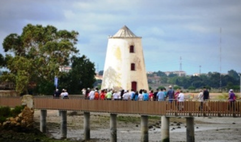 ANIMAÇÃO DE ESPAÇOS VIVOS DA CIDADE ANIMAÇÃO DE ESPAÇOS VIVOS DA CIDADE