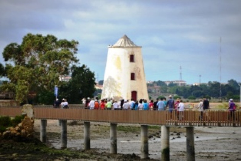ANIMAÇÃO DE ESPAÇOS VIVOS DA CIDADE ANIMAÇÃO DE ESPAÇOS VIVOS DA CIDADE