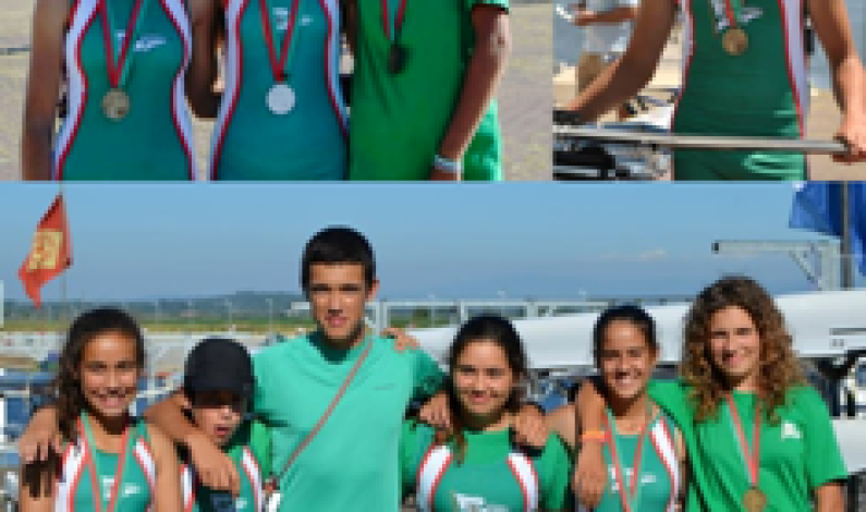 Remadores do Clube Naval Barreirense (CNB) com grande desempenho nos campeonatos nacionais de velocidade. Remadores do Clube Naval Barreirense (CNB) com grande desempenho nos campeonatos nacionais de velocidade.