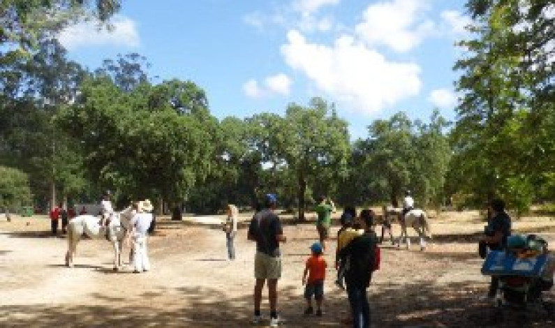 “RESERVA O VERÃO EM FAMÍLIA” “RESERVA O VERÃO EM FAMÍLIA”
