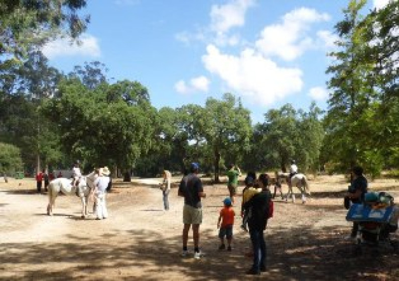 “RESERVA O VERÃO EM FAMÍLIA” “RESERVA O VERÃO EM FAMÍLIA”