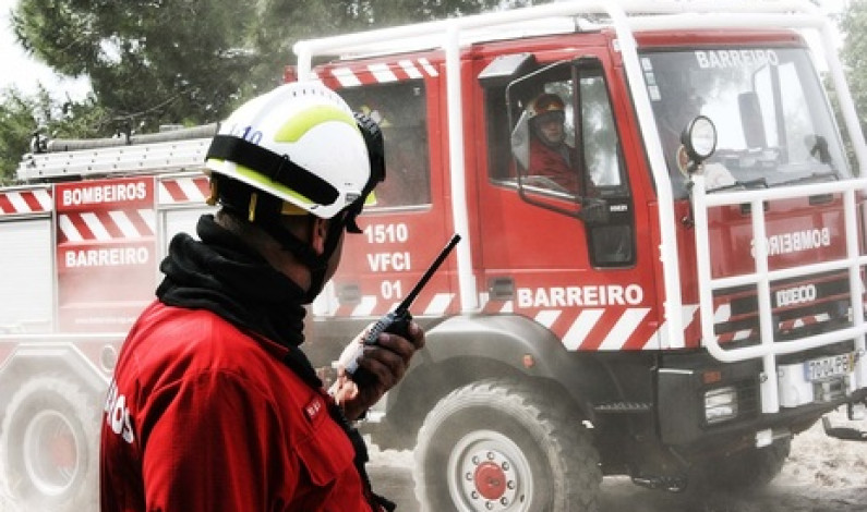 Banho Solidário dos Bombeiros do Barreiro este Domingo Banho Solidário dos Bombeiros do Barreiro este Domingo