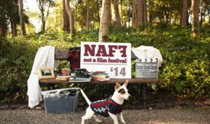 NOT A FILM FESTIVAL NOT A FILM FESTIVAL