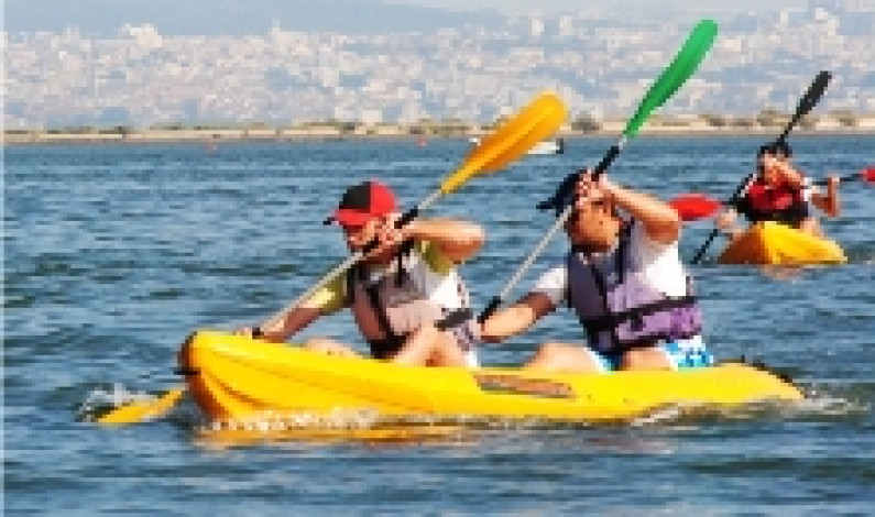 BIODISCOVERIES – Próximas iniciativas já em Outubro BIODISCOVERIES – Próximas iniciativas já em Outubro