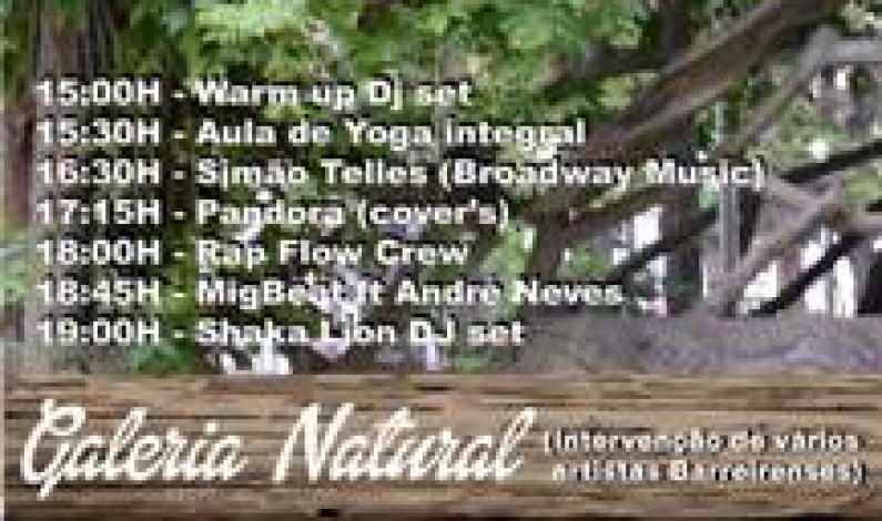 LIVRE ARTE AO AR LIVRE REÚNE ARTISTAS BARREIRENSES LIVRE ARTE AO AR LIVRE REÚNE ARTISTAS BARREIRENSES