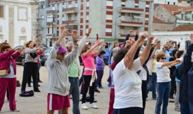 MÊS SÉNIOR 2014 | 1 a 28 de OUTUBRO no BARREIRO MÊS SÉNIOR 2014 | 1 a 28 de OUTUBRO no BARREIRO