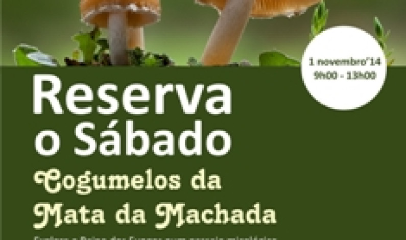 ‘RESERVA O SÁBADO’ Cogumelos da Mata da Machada ‘RESERVA O SÁBADO’ Cogumelos da Mata da Machada