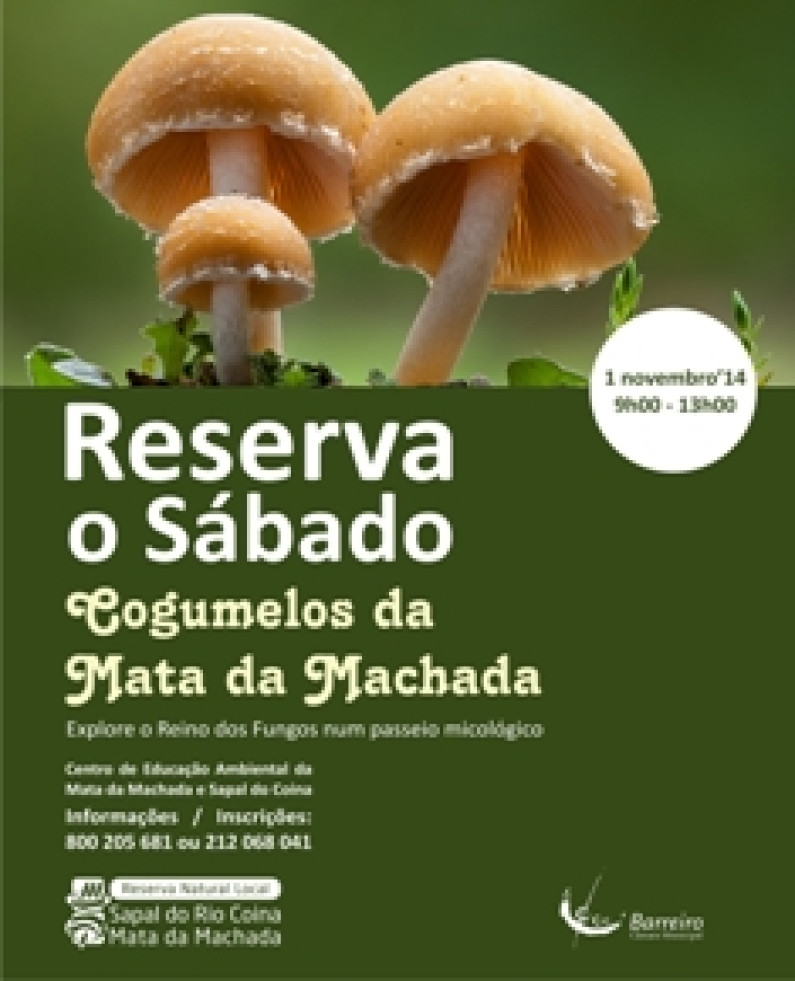‘RESERVA O SÁBADO’ Cogumelos da Mata da Machada ‘RESERVA O SÁBADO’ Cogumelos da Mata da Machada