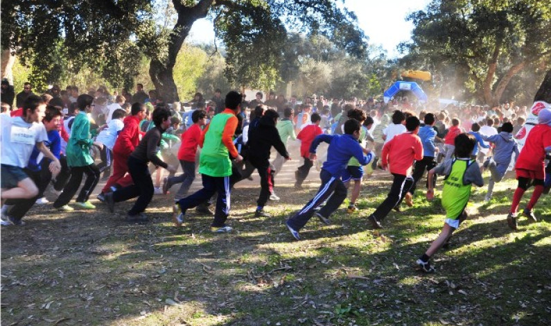 ATLETISMO | CORTA-MATO CONCELHIO DO BARREIRO – DESPORTO ESCOLAR ATLETISMO | CORTA-MATO CONCELHIO DO BARREIRO – DESPORTO ESCOLAR