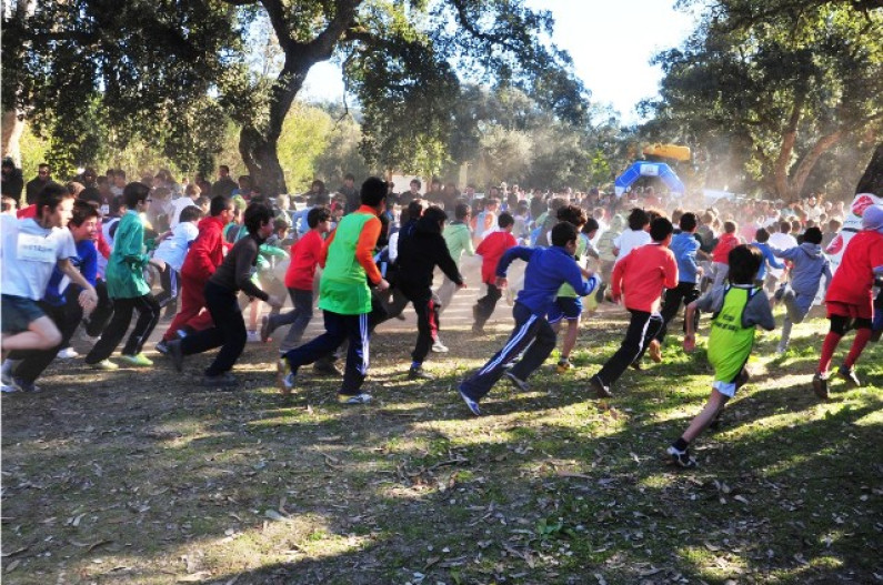 ATLETISMO | CORTA-MATO CONCELHIO DO BARREIRO – DESPORTO ESCOLAR ATLETISMO | CORTA-MATO CONCELHIO DO BARREIRO – DESPORTO ESCOLAR