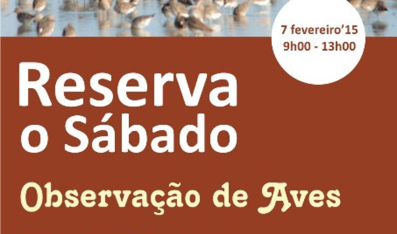 ‘RESERVA O SÁBADO’ 2015 Observação de Aves ‘RESERVA O SÁBADO’ 2015 Observação de Aves