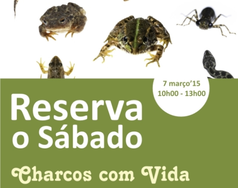 ‘RESERVA O SÁBADO’ Charcos com Vida ‘RESERVA O SÁBADO’ Charcos com Vida