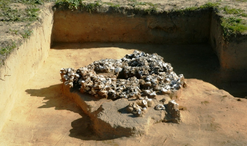 Curso de Iniciação à Arqueologia vai arrancar no Moinho de Maré – Alhos Vedros Curso de Iniciação à Arqueologia vai arrancar no Moinho de Maré – Alhos Vedros