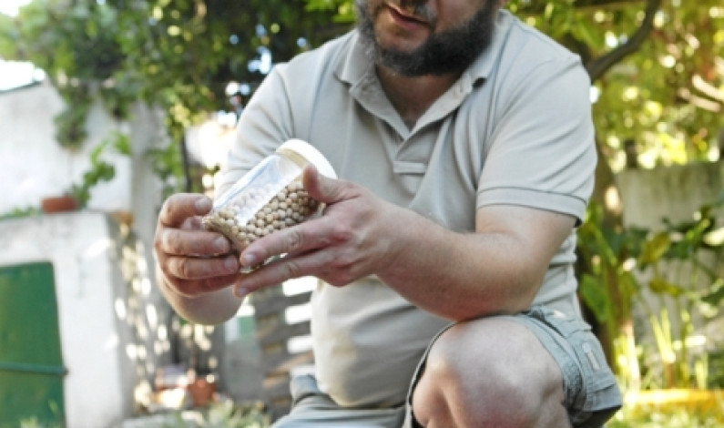 Oficina “O Meu Banco de Sementes” assinala Dia Mundial do Ambiente Oficina “O Meu Banco de Sementes” assinala Dia Mundial do Ambiente