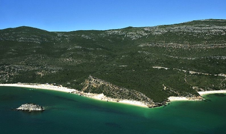 Município assinala Dia da Conservação da Natureza com visita guiada ao Parque Natural da Arrábida e ao Estuário do Sado Município assinala Dia da Conservação da Natureza com visita guiada ao Parque Natural da Arrábida e ao Estuário do Sado