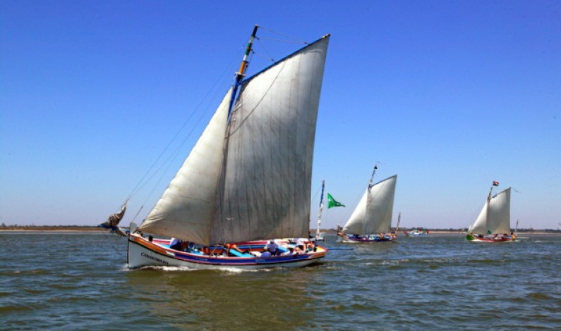 XIII Regata Cruzeiro Moita – Vila Franca de Xira – Moita parte este sábado XIII Regata Cruzeiro Moita – Vila Franca de Xira – Moita parte este sábado