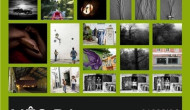 Mês da Fotografia Mês da Fotografia