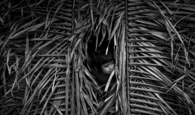 Mês da Fotografia Mês da Fotografia
