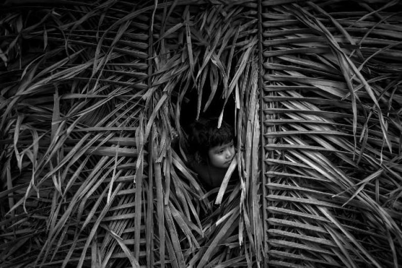 Mês da Fotografia Mês da Fotografia