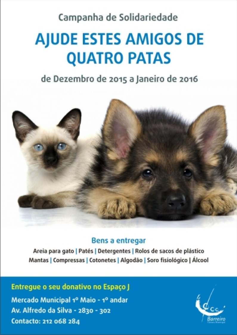 “Ajude estes amigos de quatro patas” “Ajude estes amigos de quatro patas”