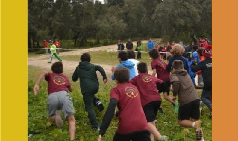 ATLETISMO Corta-Mato Concelhio de Desporto Escolar, na Mata da Machada, dia 28 de janeiro ATLETISMO Corta-Mato Concelhio de Desporto Escolar, na Mata da Machada, dia 28 de janeiro